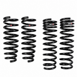 RS-R 11-14 TSX Wagon Lowering Springs